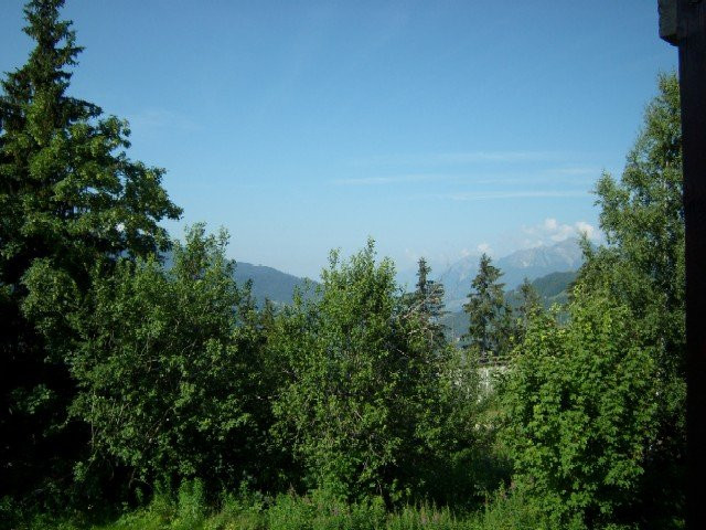 _clients_227359002_photos_261e_7752819