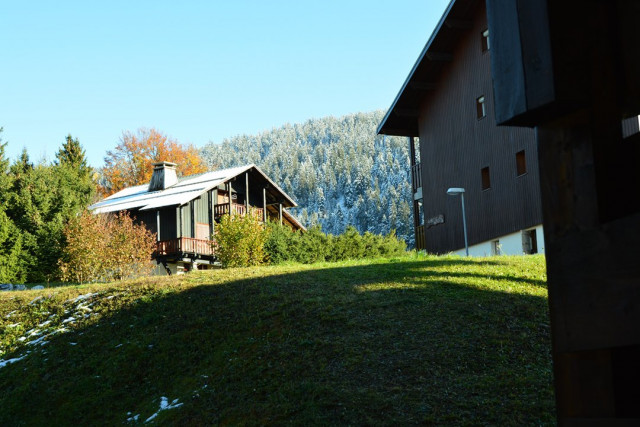 _clients_227359002_photos_267f_7731698