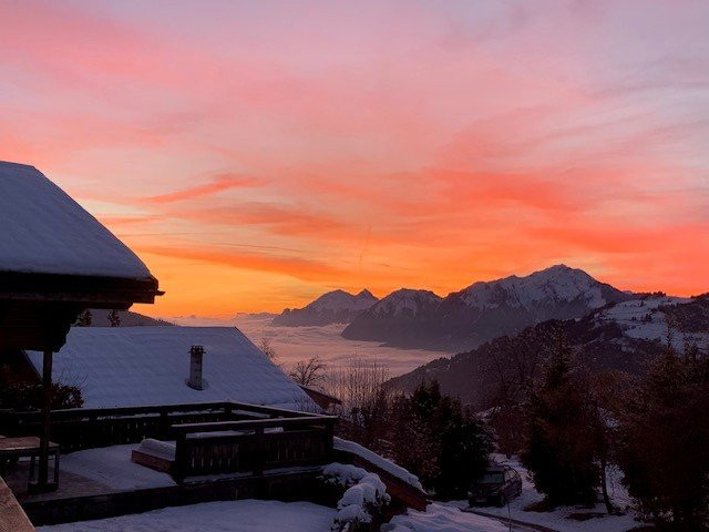 _clients_227359002_photos_279q_7154993 _clients_227359002_photos_279q_7154993