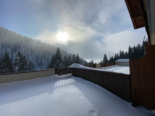 _clients_227359002_photos_294d_7239523