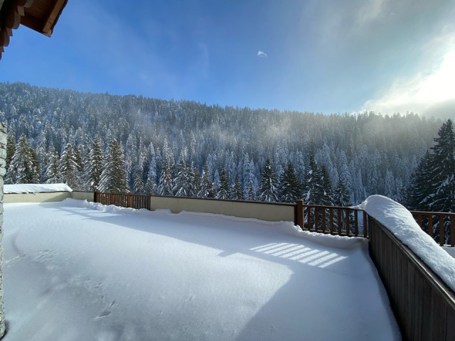 _clients_227359002_photos_294i_7460840