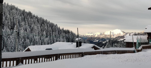 _clients_227359002_photos_300i_7460970