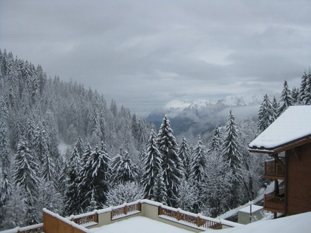 _clients_227359002_photos_301s_6880467 _clients_227359002_photos_301s_6880467