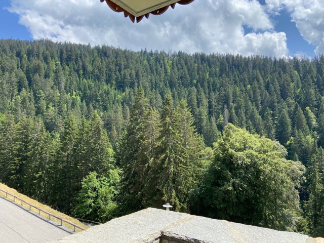 _clients_227359002_photos_303g_7741864