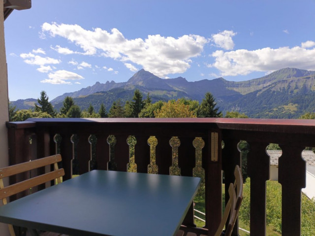 _clients_227359002_photos_307a_7747568