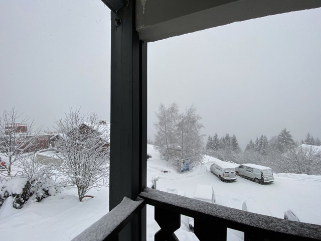 _clients_227359002_photos_308k_7718893