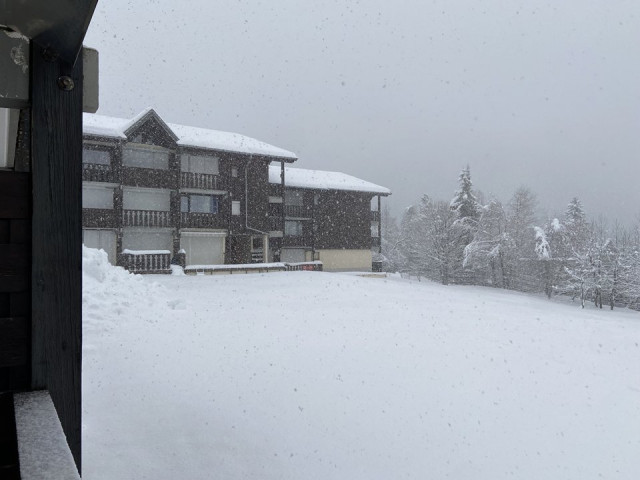 _clients_227359002_photos_308l_7741962