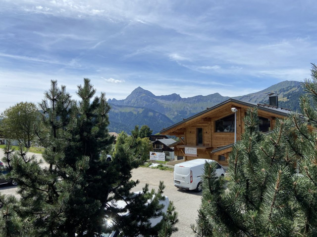 _clients_227359002_photos_313c_7326682