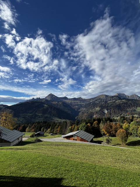 _clients_227359002_photos_314e_7742023