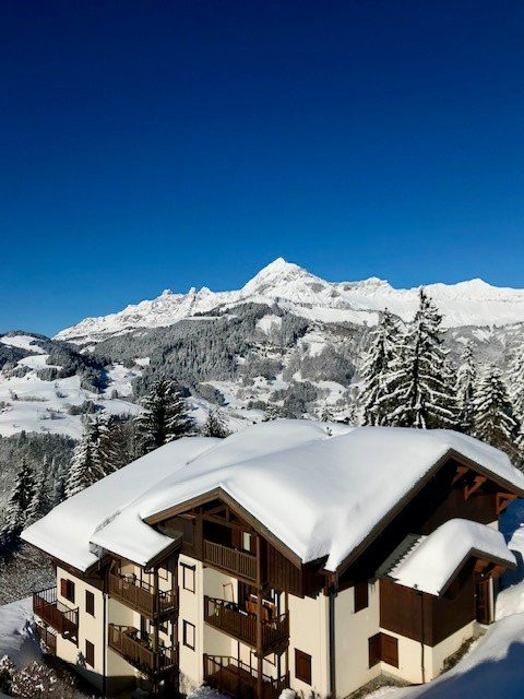 _clients_227359002_photos_317l_7724654