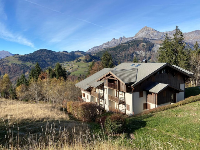 _clients_227359002_photos_317m_7747706