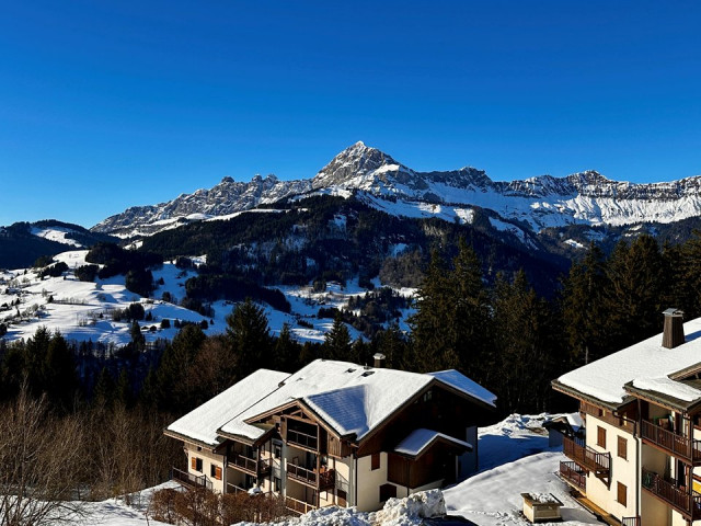 _clients_227359002_photos_322i_7338274