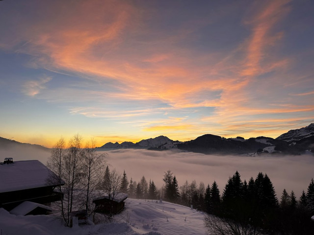 _clients_227359002_photos_322j_7634930