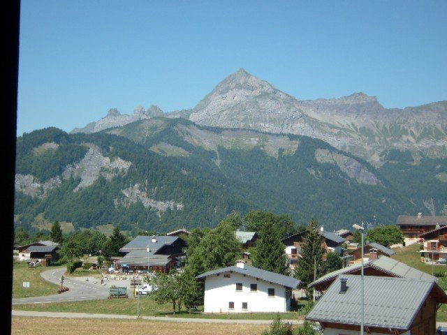 _clients_227359002_photos_323o_7206257