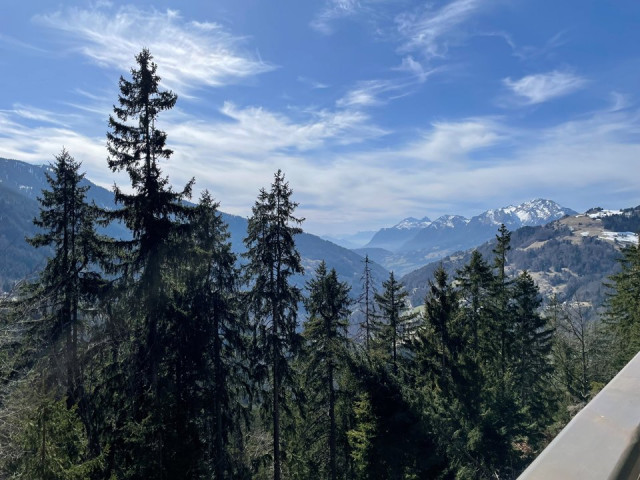 _clients_227359002_photos_329j_7645321