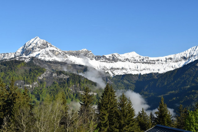 _clients_227359002_photos_330a_7736531