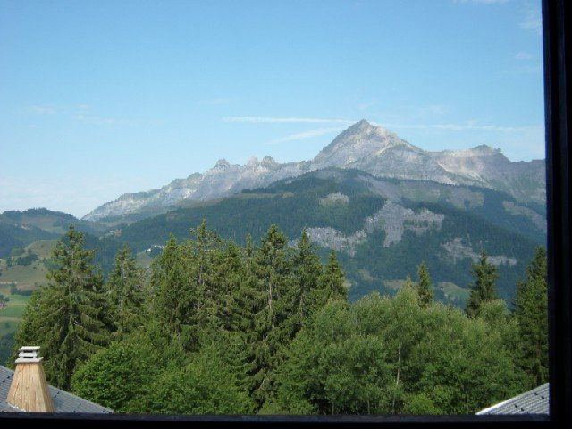 _clients_227359002_photos_330k_7736541