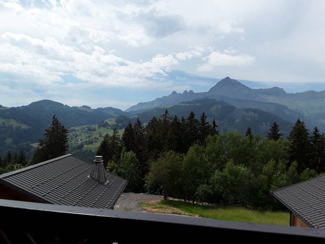 _clients_227359002_photos_330l_7733216