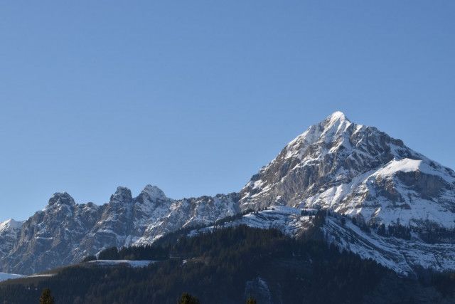 _clients_227359002_photos_330m_7733218