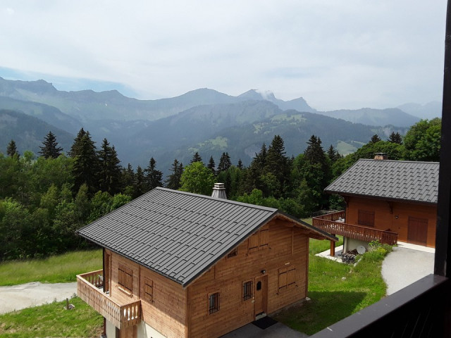 _clients_227359002_photos_330o_7724777