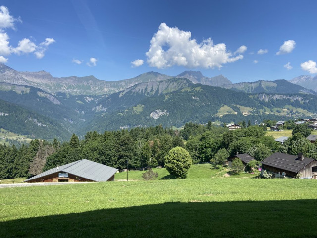_clients_227359002_photos_333a_8299848 _clients_227359002_photos_333a_8299848