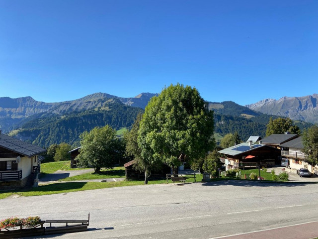 _clients_227359002_photos_337ar_7661750 _clients_227359002_photos_337ar_7661750