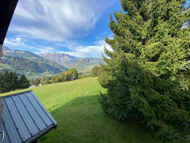 _clients_227359002_photos_338t_7603831