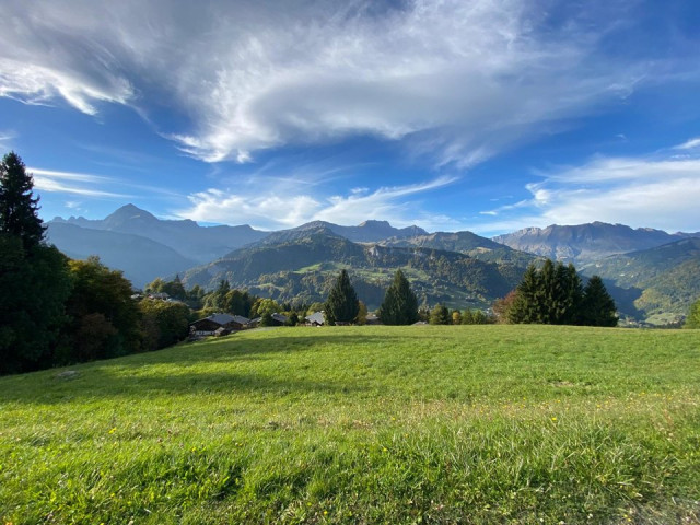 _clients_227359002_photos_338y_7433990 _clients_227359002_photos_338y_7433990