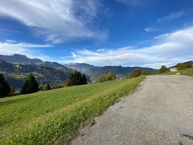 _clients_227359002_photos_338z_7285479