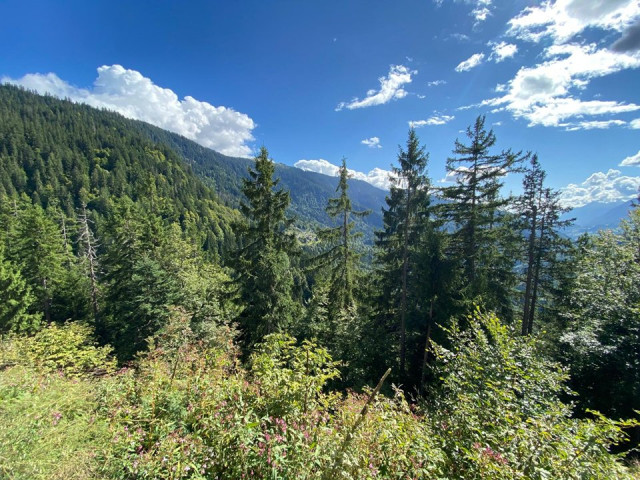 _clients_227359002_photos_342s_7021391 _clients_227359002_photos_342s_7021391