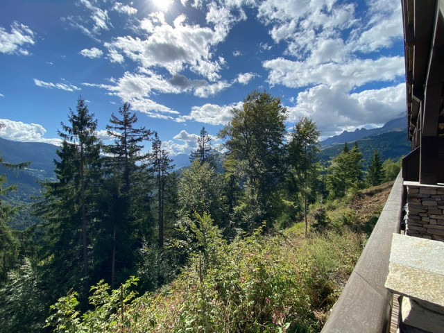 _clients_227359002_photos_342t_7698575