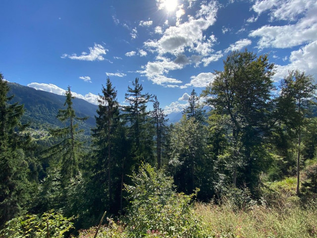 _clients_227359002_photos_342u_7502760