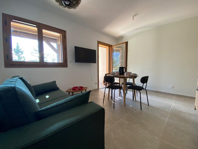 _clients_227359002_photos_342z_7709742