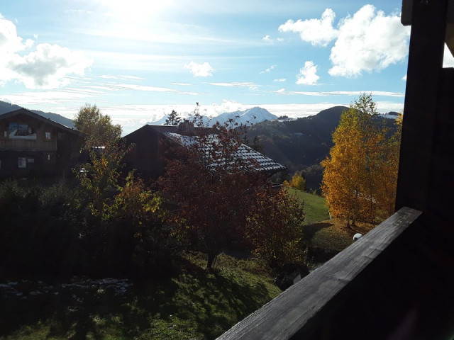 _clients_227359002_photos_345f_7759299