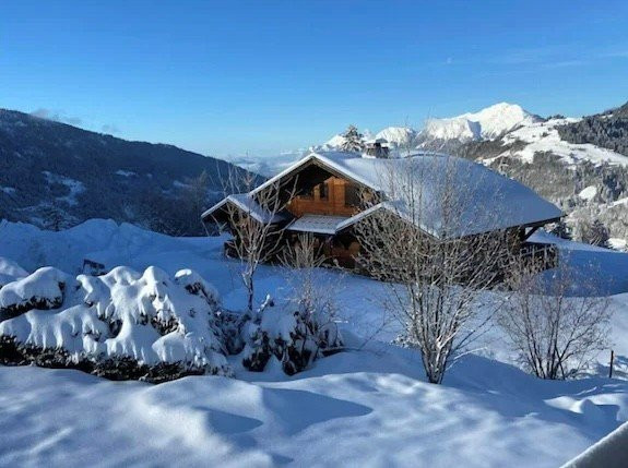 _clients_227359002_photos_345h_7742372