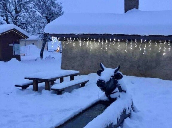 _clients_227359002_photos_345q_7759310