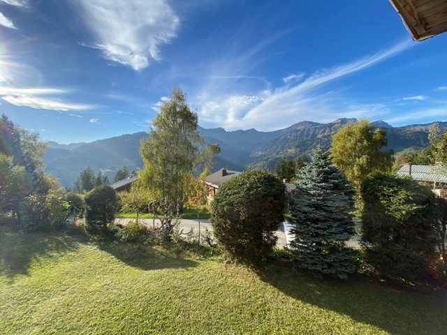 _clients_227359002_photos_346af_7291324