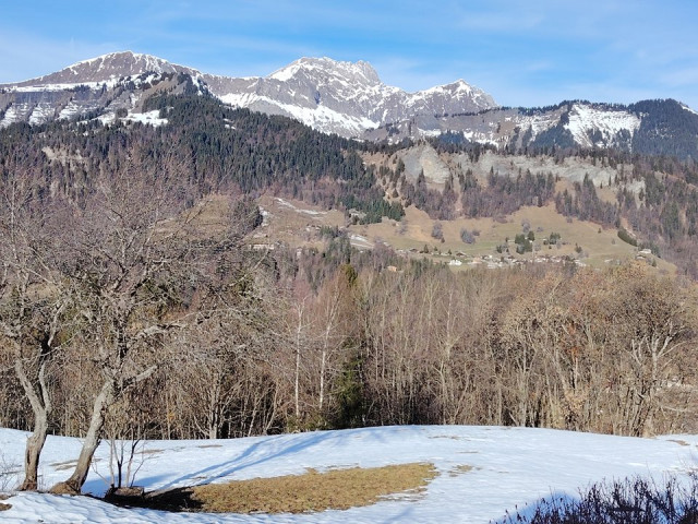 _clients_227359002_photos_347q_7635251