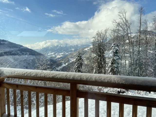 _clients_227359002_photos_349aa_7742471