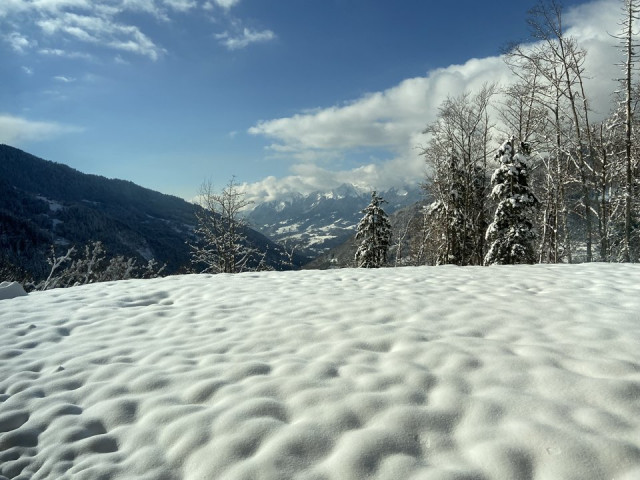 _clients_227359002_photos_349ab_7704289