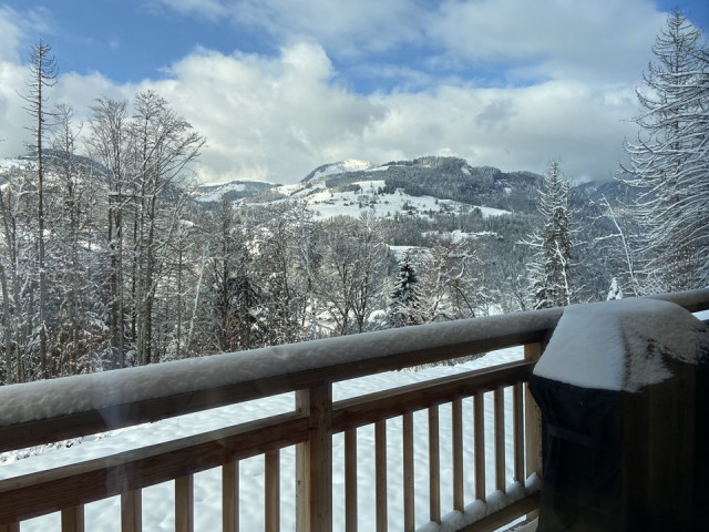 _clients_227359002_photos_349ac_7693132