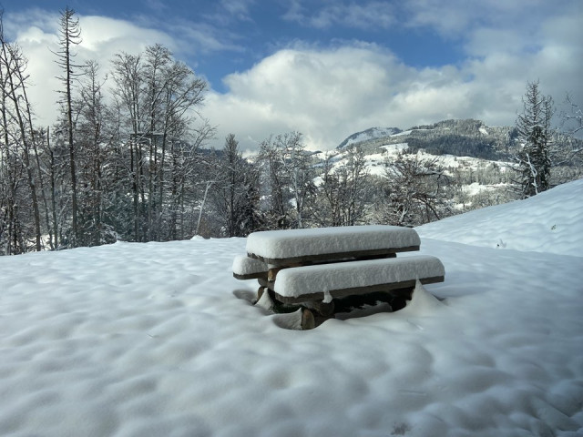 _clients_227359002_photos_349x_7475141