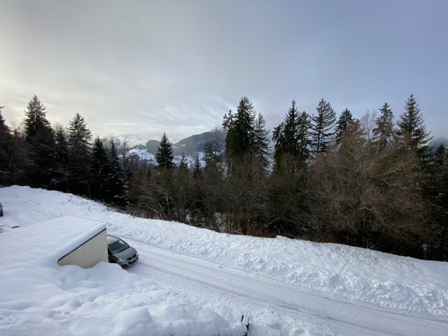 _clients_227359002_photos_350at_7759448