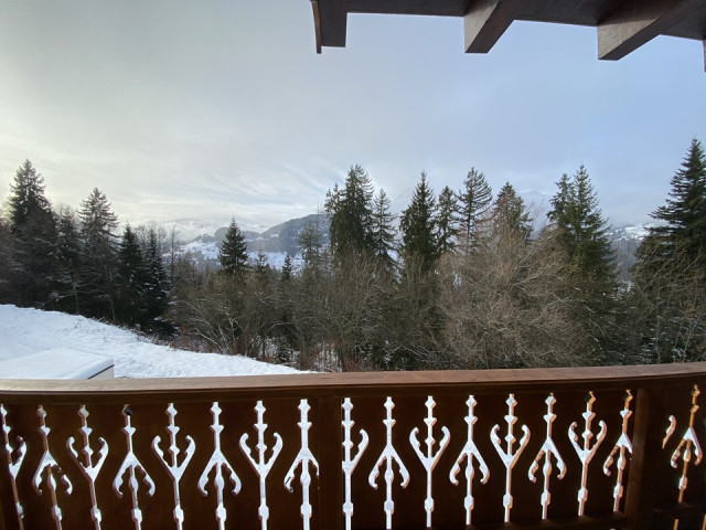 _clients_227359002_photos_350au_7736880