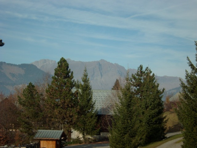 _clients_227359002_photos_42f_7753863