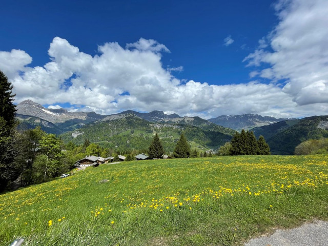 _clients_227359002_photos_49l_6886807