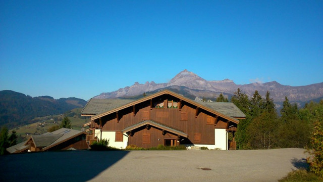 _clients_227359002_photos_70i_7280146