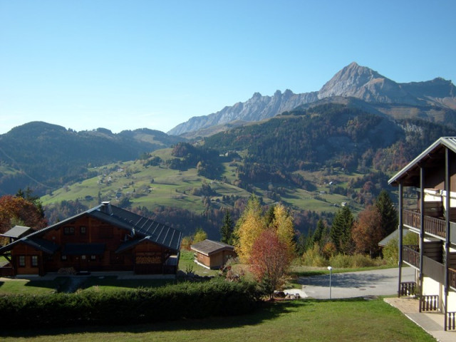 _clients_227359002_photos_72g_7399645 _clients_227359002_photos_72g_7399645