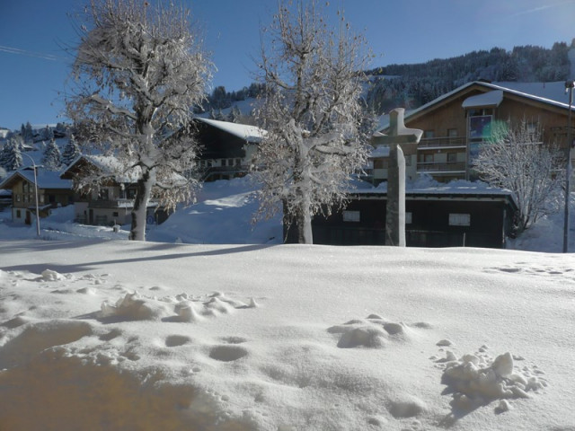 _clients_227359002_photos_73j_7457736