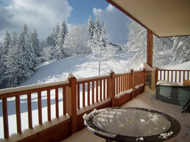 _clients_227359002_photos_79i_7327380